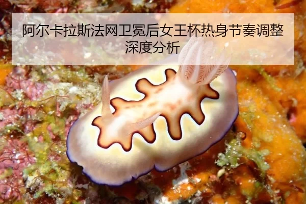 阿尔卡拉斯法网卫冕后女王杯热身节奏调整深度分析