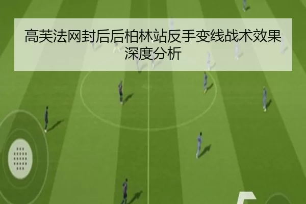 gao-fu-fa-wang-feng-hou-hou-bo-lin-zhan-fan-shou-bian-xian-zhan-shu-xiao-guo-shen-du-fen-xi-2-134.jpg